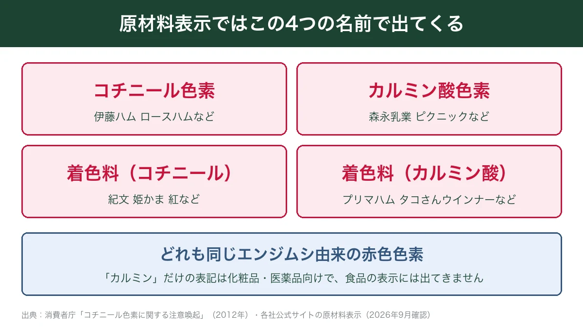 コチニール色素が原材料表示でコチニール色素・カルミン酸色素・着色料(コチニール)・着色料(カルミン酸)の4つの名前で書かれることを示した図