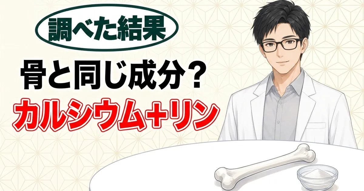骨と同じ成分？カルシウム＋リン、と説明するセイジと骨の模型と白い粉