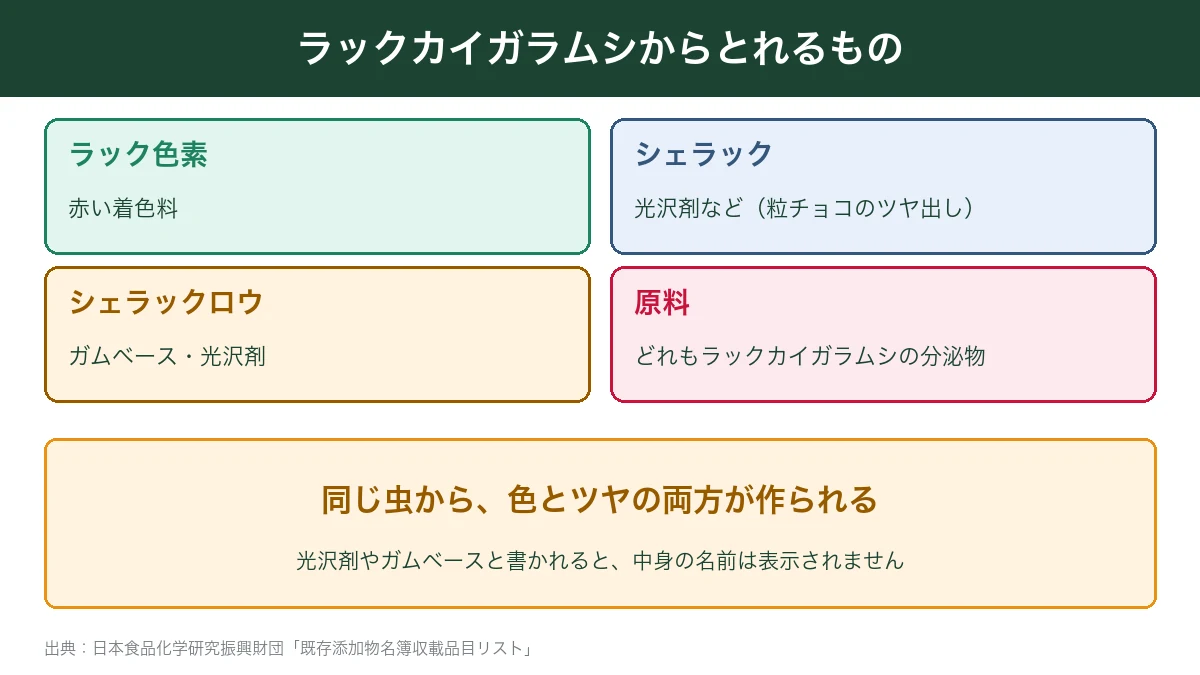 ラックカイガラムシからとれるラック色素・シェラック・シェラックロウ