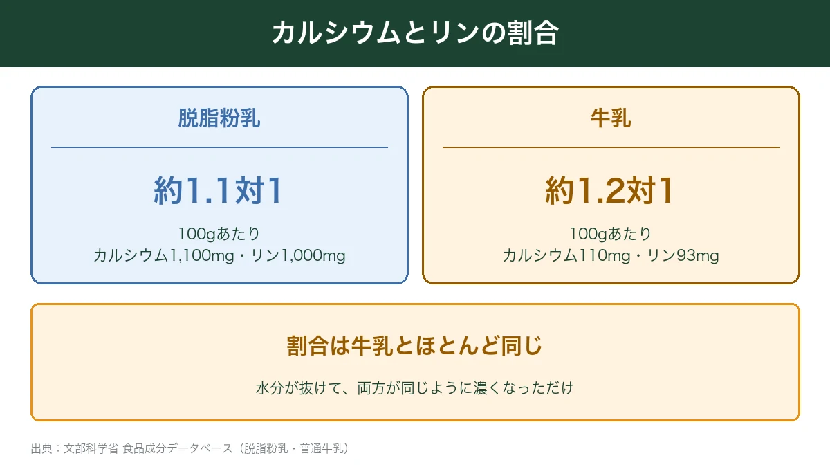 脱脂粉乳と牛乳のカルシウムとリンの割合