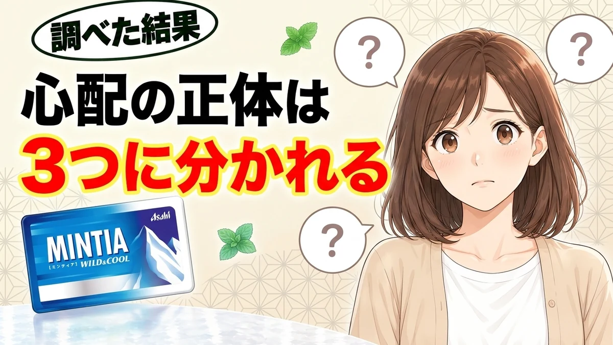 ミンティアの心配の正体は3つに分かれる