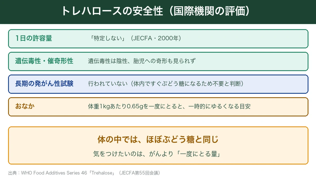 トレハロースの安全性の図解。JECFAは1日の許容量を特定しない、遺伝毒性は陰性、体重1kgあたり0.65gで一時的におなかがゆるくなる目安