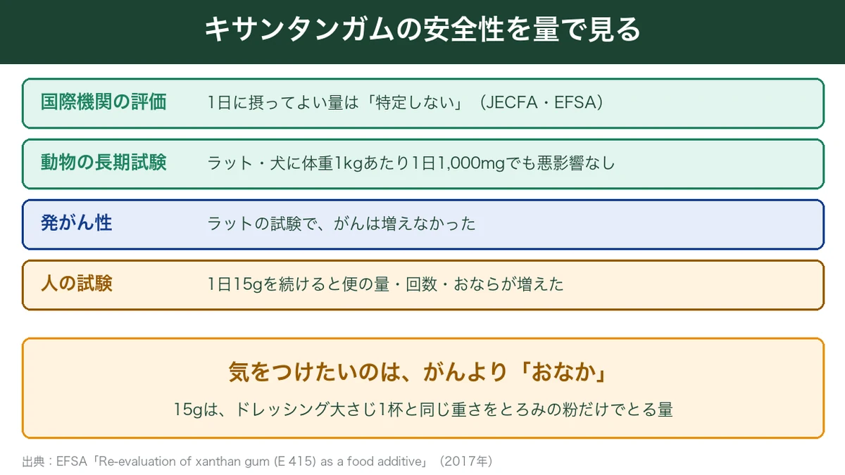 キサンタンガムの安全性を量で見た図解。許容量は特定せず、動物試験で悪影響なし、人は1日15gで便やおならが増えた